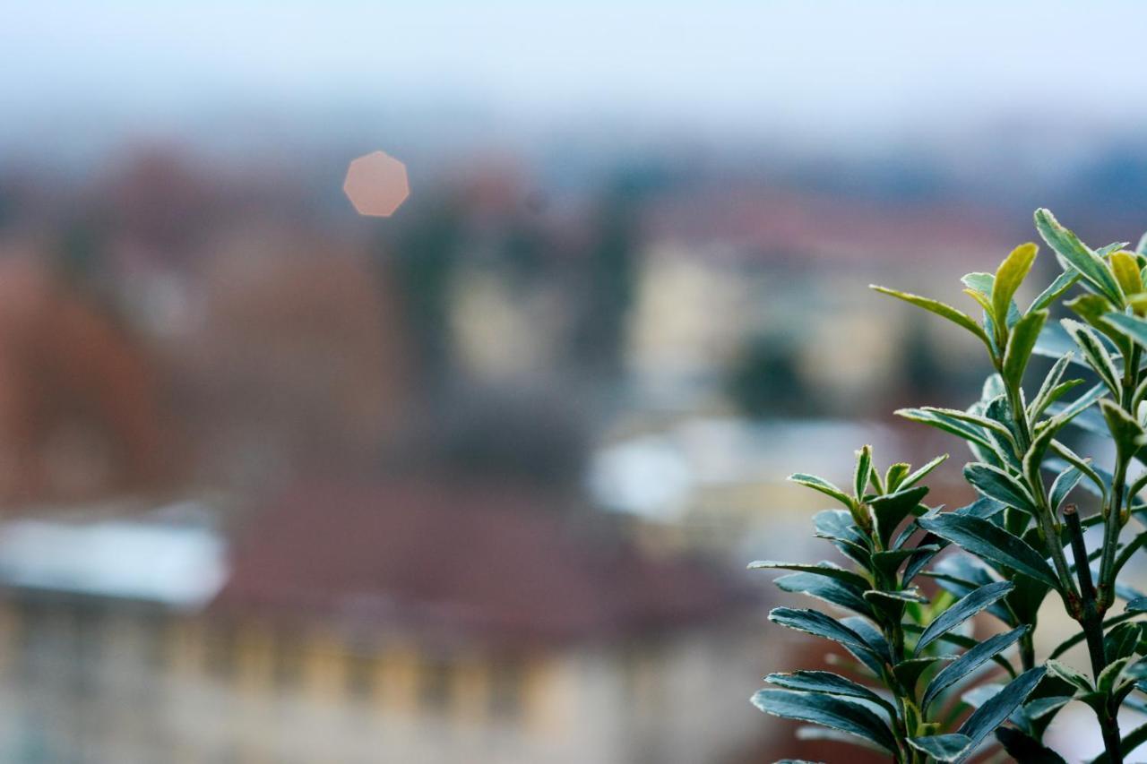 Sunny Side I Turin Suite Εξωτερικό φωτογραφία